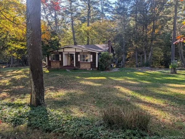 a view of a big yard next to a large tree