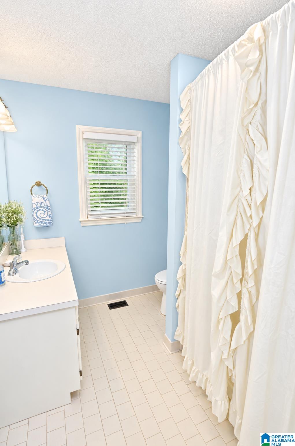 902 Falling Star Lane Alabaster, AL 35007 - Photo 27 of 45 Gallery Image 27