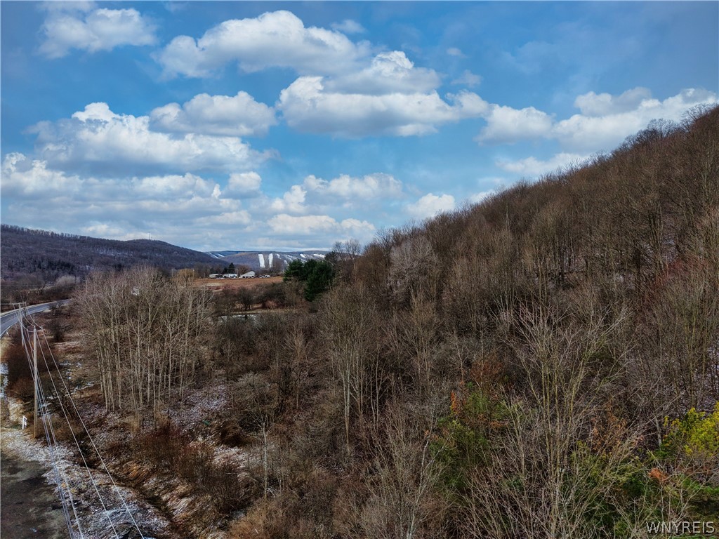 6010 Nys Route Ellicottville, NY 14731 - Photo 1 of 5