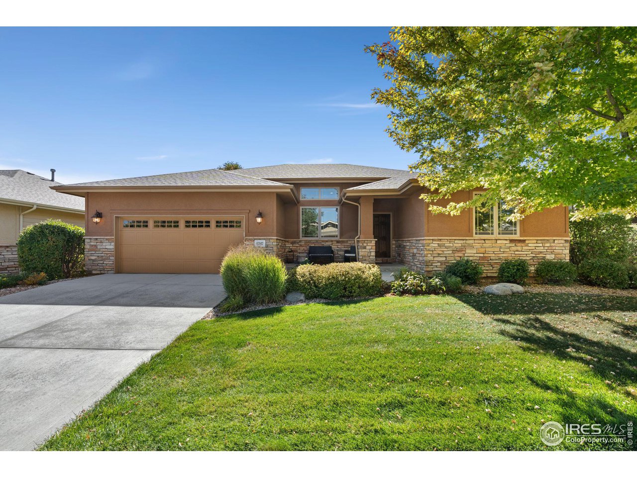 6747 Spanish Bay Drive Windsor, CO 80550 - Photo 1 of 30 a view of a house with a yard