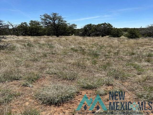 2 Rabbit Circle Pie Town, NM 87827 - Photo 4 of 16 Gallery Image 4