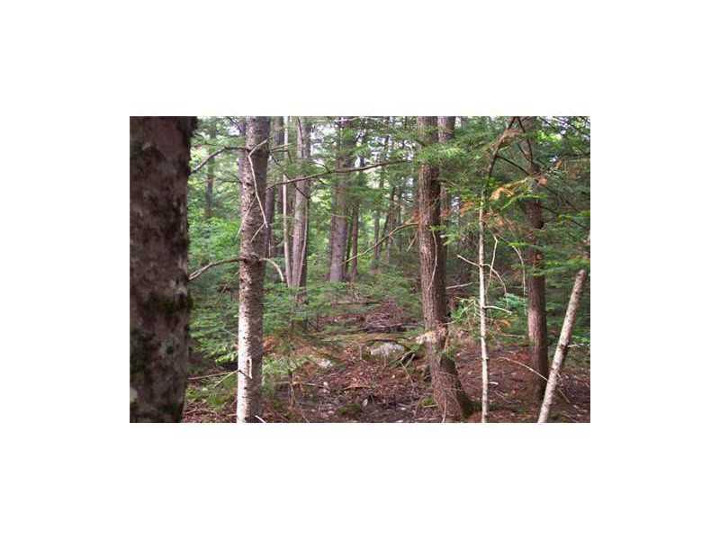 Lot 5 Turner Road Sangerville, ME 04479 - Photo 11 of 19 Land.