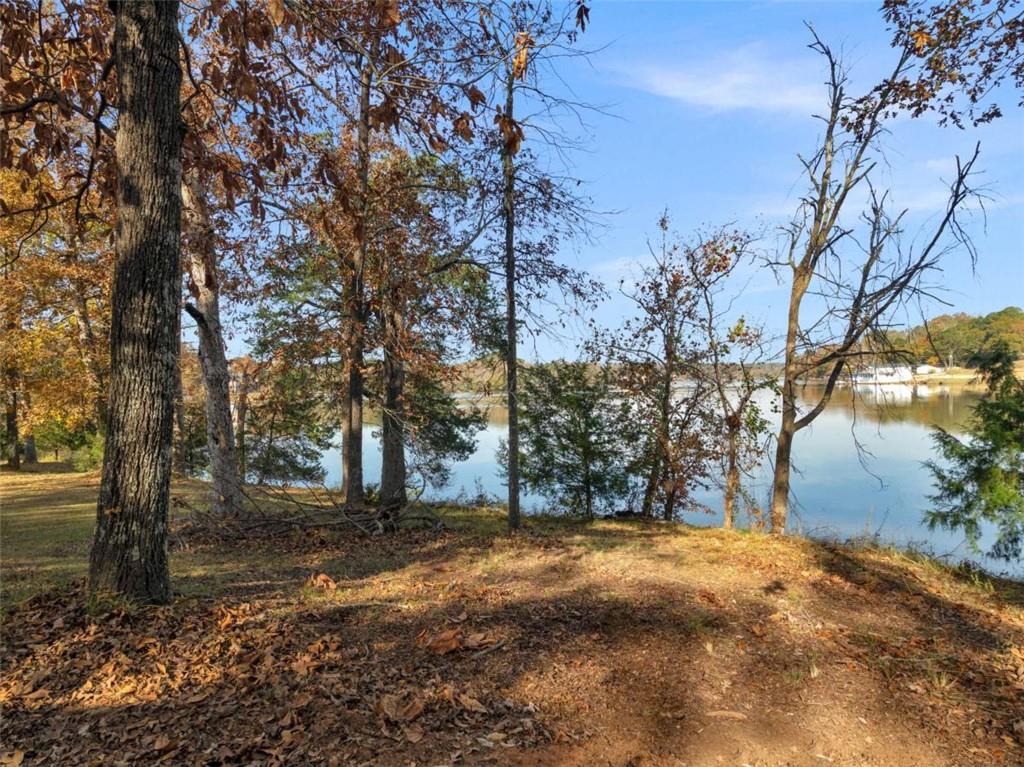 296 Reeves Road Jackson, GA 30233 - Photo 63 of 78 a view of tree next to a yard