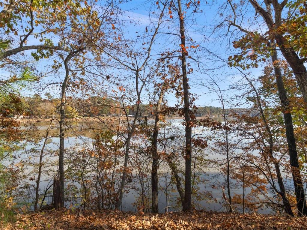 296 Reeves Road Jackson, GA 30233 - Photo 64 of 78