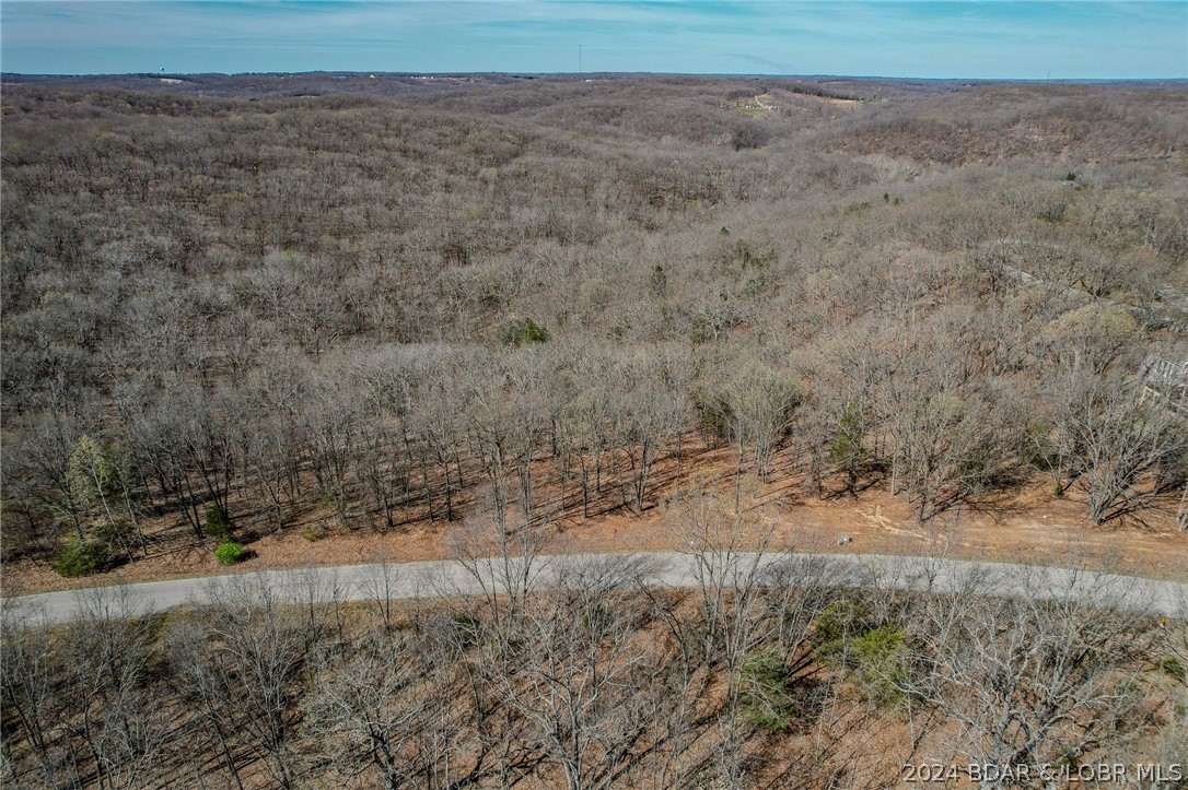 Lot 10 Cross Creek Road Camdenton, MO 65020 - Photo 18 of 22