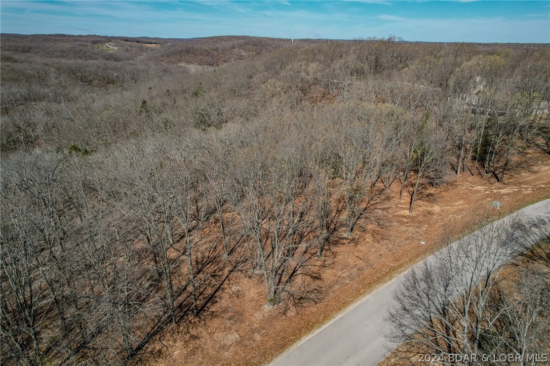 Lot 10 Cross Creek Road Camdenton, MO 65020 - Photo 4 of 22