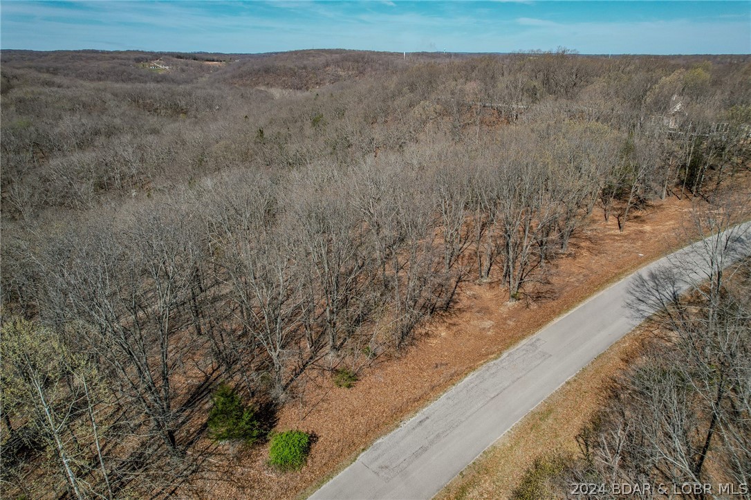 Lot 10 Cross Creek Road Camdenton, MO 65020 - Photo 5 of 22