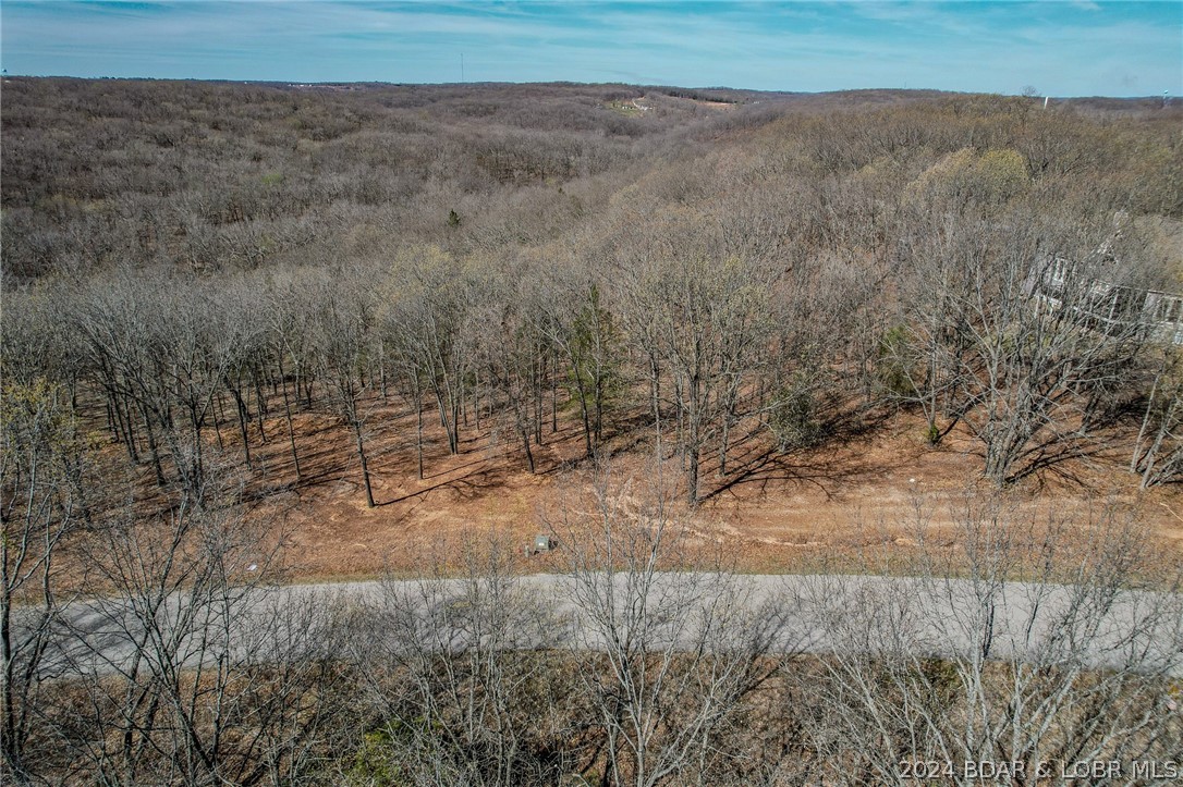Lot 10 Cross Creek Road Camdenton, MO 65020 - Photo 6 of 22