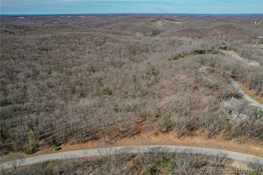 Lot 10 Cross Creek Road Camdenton, MO 65020 - Photo 9 of 22