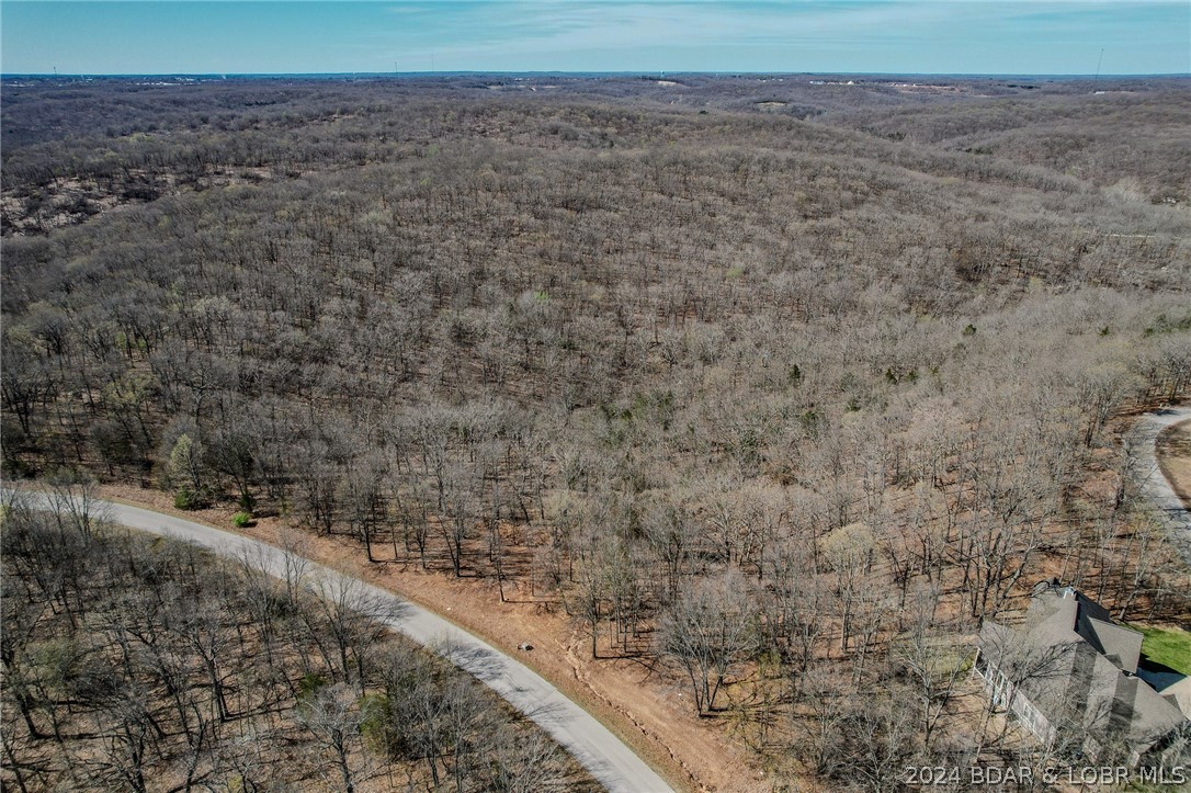Lot 10 Cross Creek Road Camdenton, MO 65020 - Photo 10 of 22