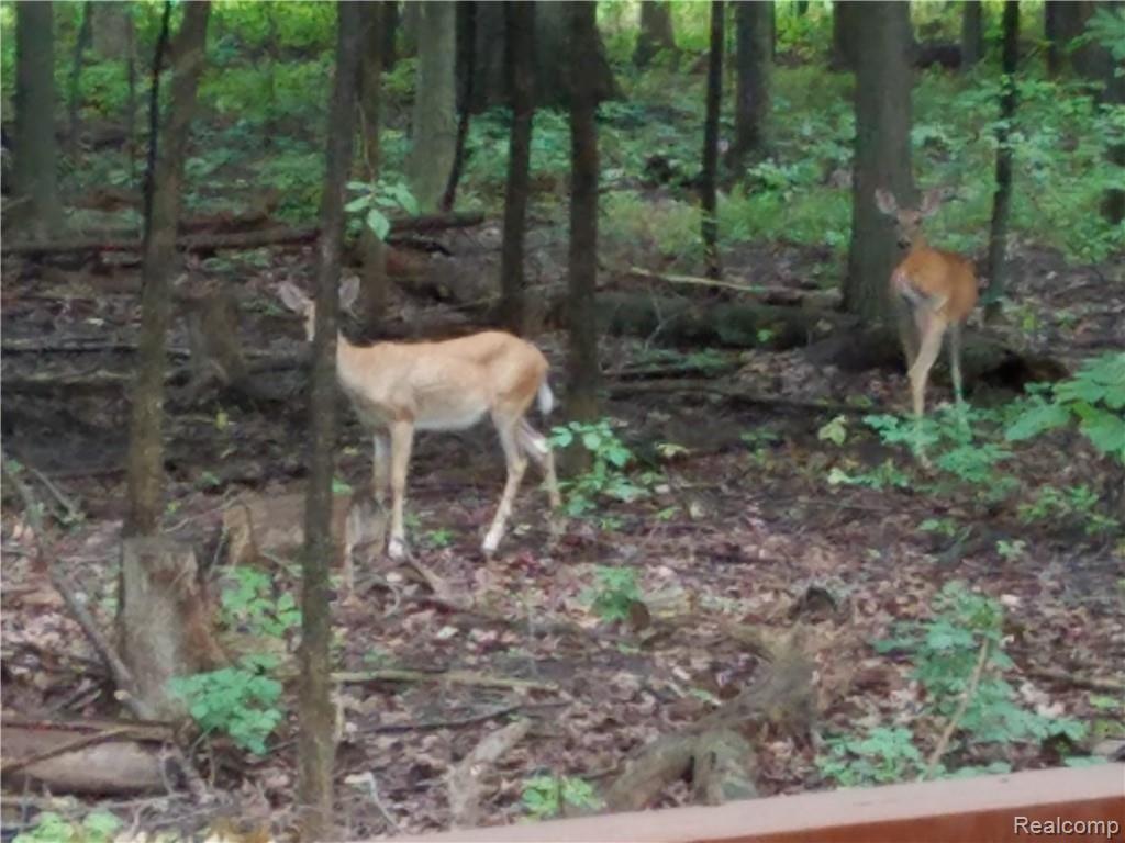 626 Shellbourne Drive Rochester Hills, MI 48309 - Photo 21 of 21