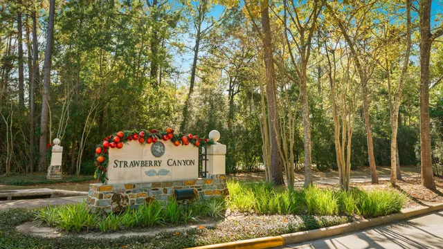 $1,400,000 | 30 Midday Sun Place, The Woodlands, TX 77382