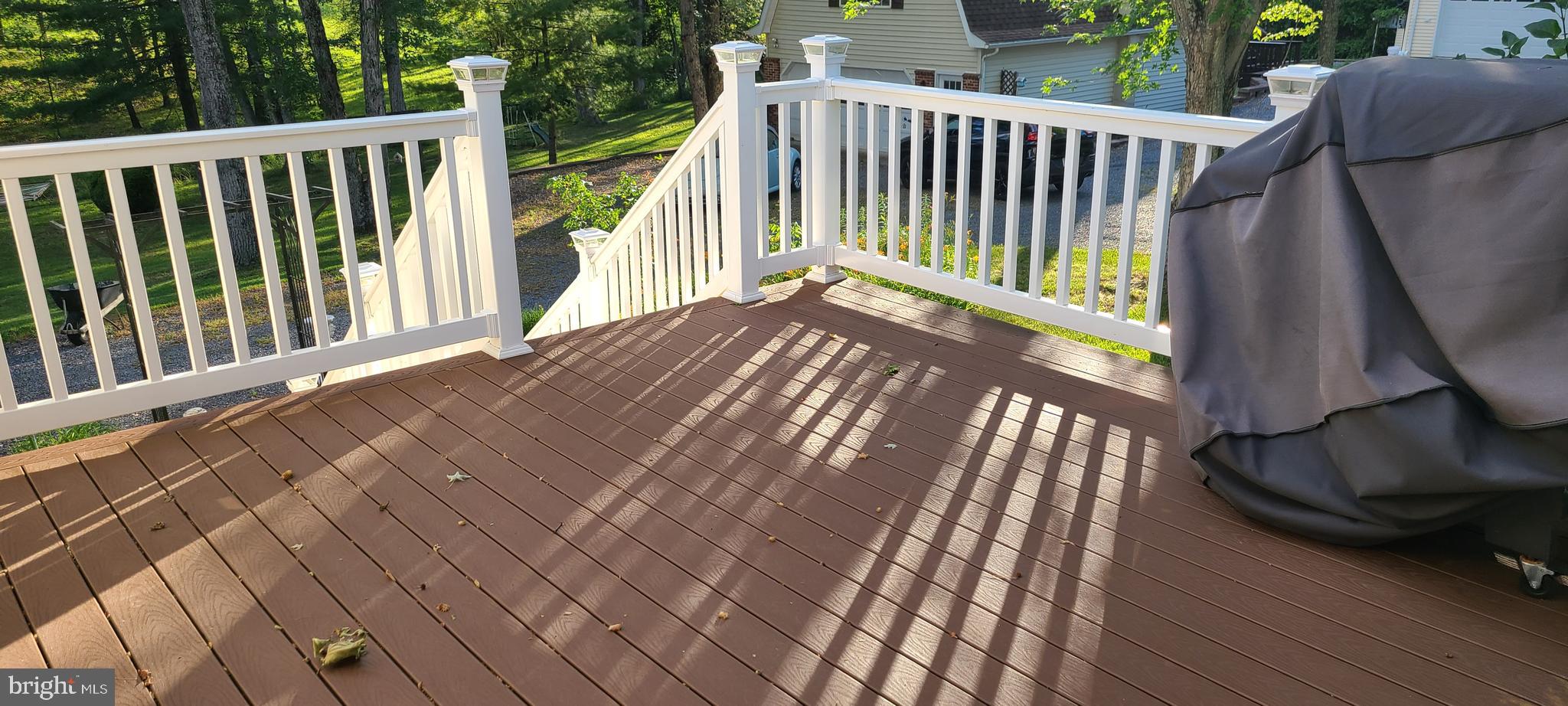 2205 Back Road Woodstock, VA 22664 - Photo 12 of 87 Trex Decking