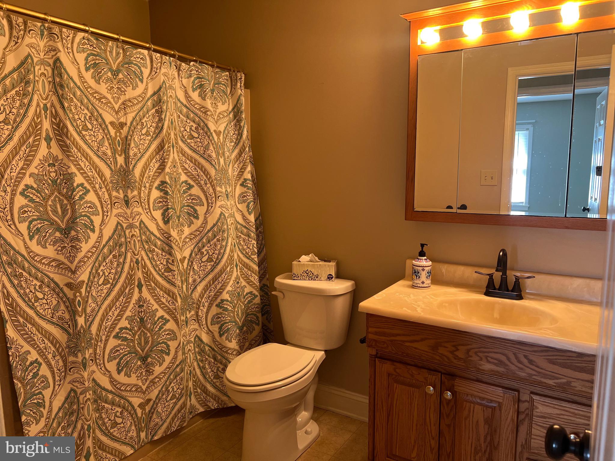 2205 Back Road Woodstock, VA 22664 - Photo 20 of 87 Hall Bath