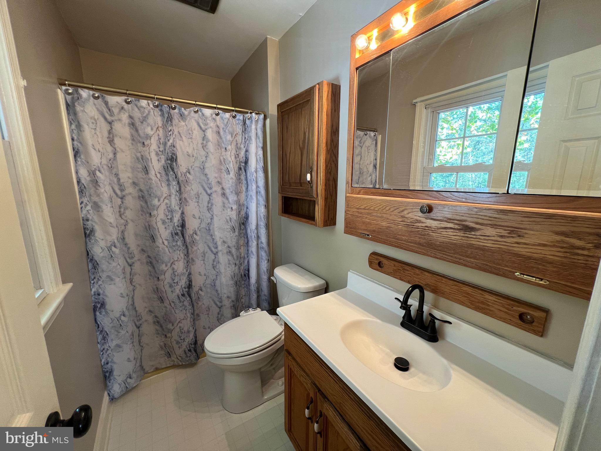 2205 Back Road Woodstock, VA 22664 - Photo 24 of 87 Primary Bath