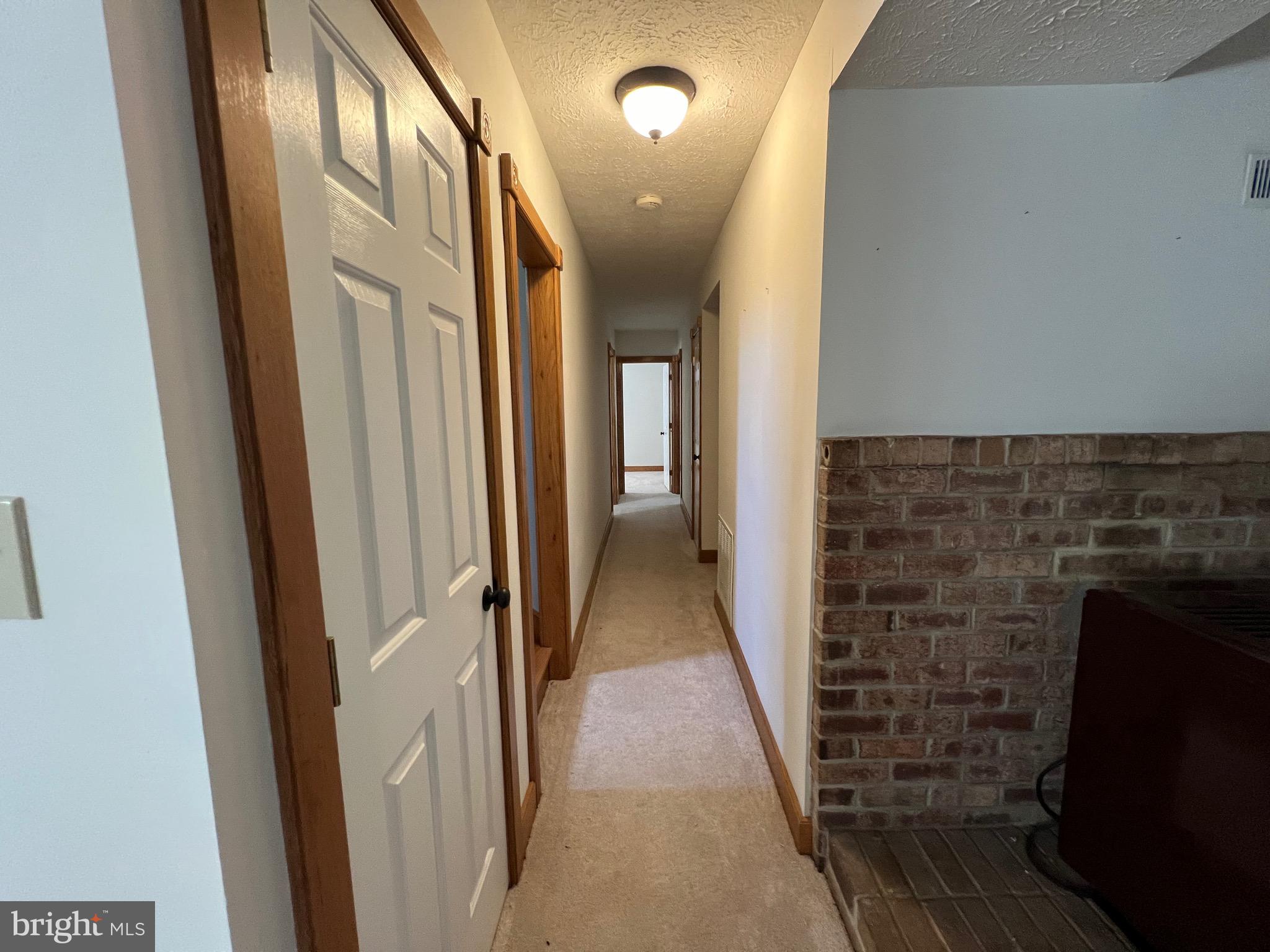 2205 Back Road Woodstock, VA 22664 - Photo 27 of 87 Lower Level Hallway