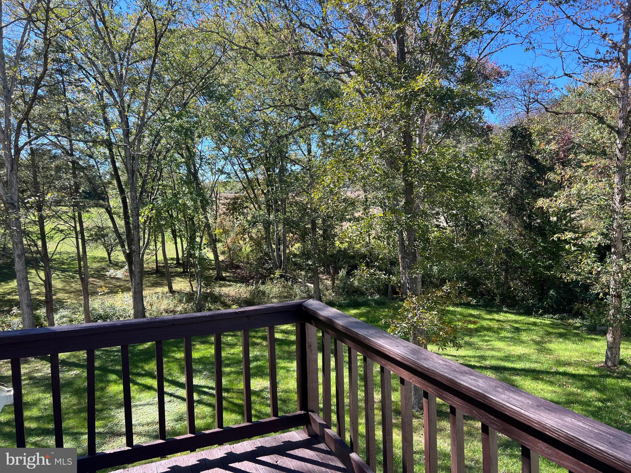 2205 Back Road Woodstock, VA 22664 - Photo 46 of 87 Apt. View