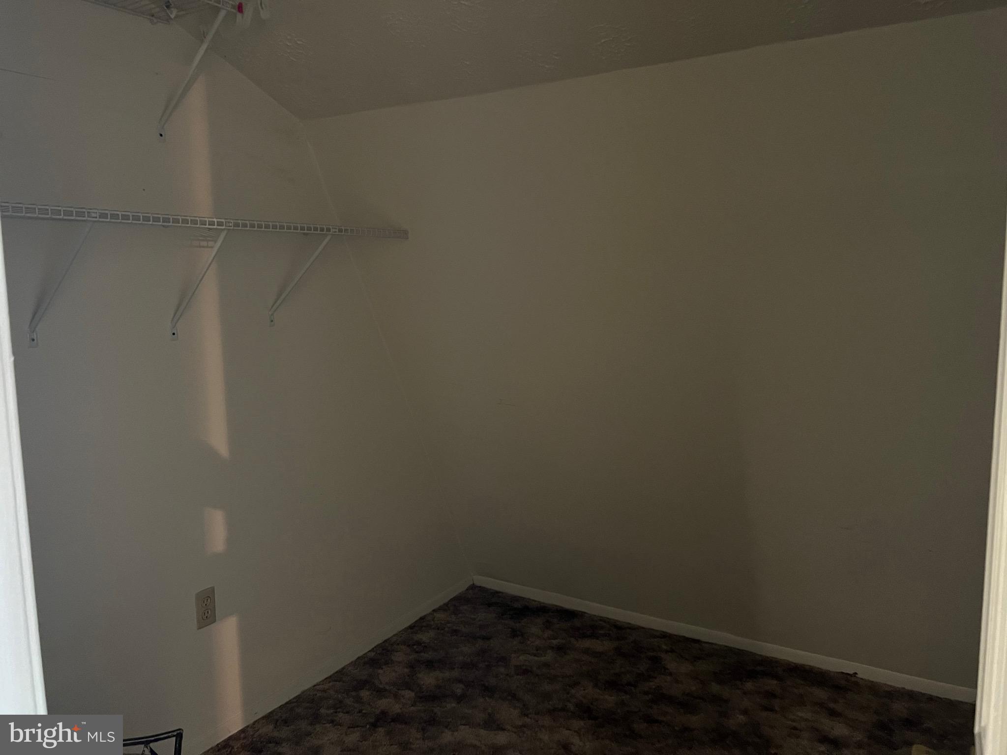 2205 Back Road Woodstock, VA 22664 - Photo 53 of 87 Apt. Storage Room
