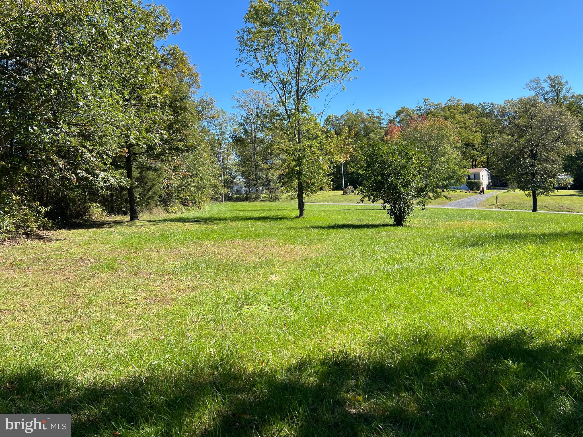 2205 Back Road Woodstock, VA 22664 - Photo 78 of 87 Yard View