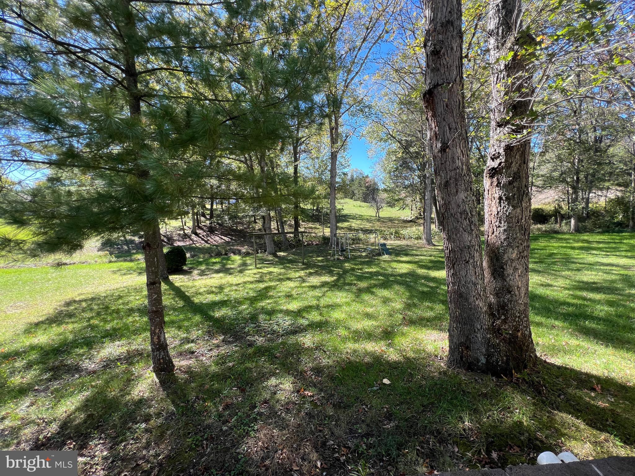 2205 Back Road Woodstock, VA 22664 - Photo 86 of 87 Parklike Setting