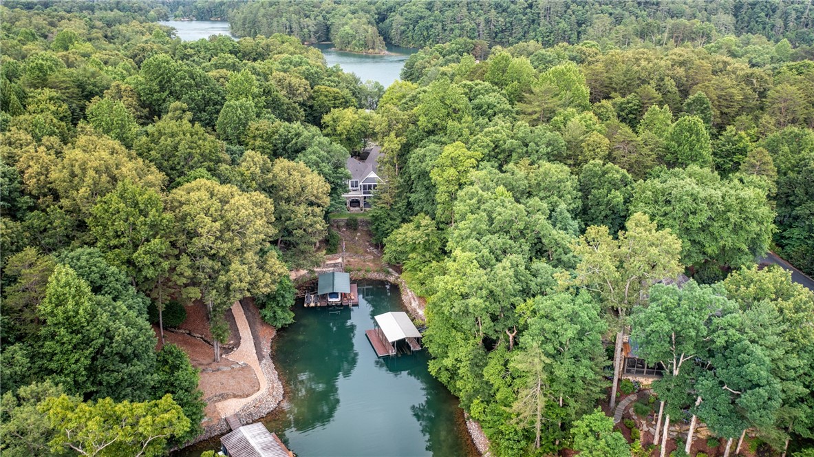 606 Wind Flower Drive Sunset, SC 29685 - Photo 43 of 49 Both docks included