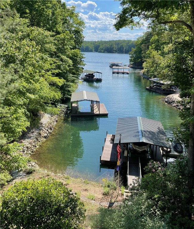 606 Wind Flower Drive Sunset, SC 29685 - Photo 44 of 49 Path to second lot & dock