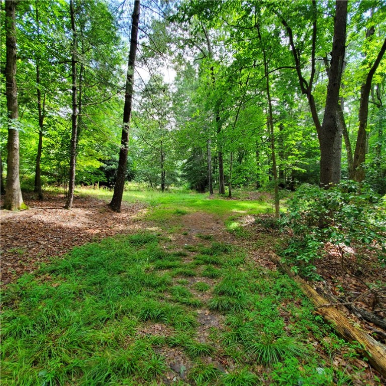 606 Wind Flower Drive Sunset, SC 29685 - Photo 46 of 49 Adjoining lot