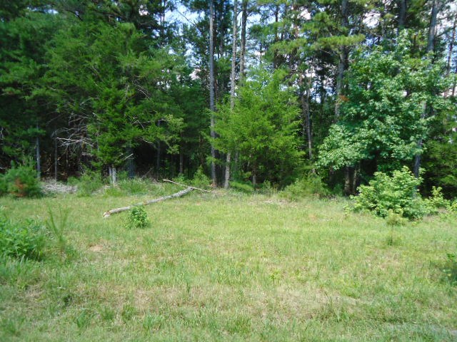 231 Quarter Road Spartanburg, SC 29302 - Photo 12 of 14 Gallery Image 12