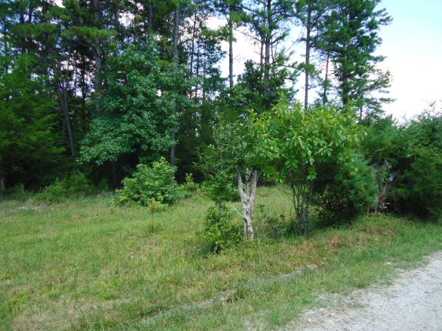 231 Quarter Road Spartanburg, SC 29302 - Photo 14 of 14 Gallery Image 14