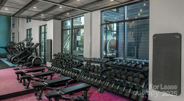 $1,430 | 1015 North Alexander Street, Unit A6, Charlotte, NC 28206