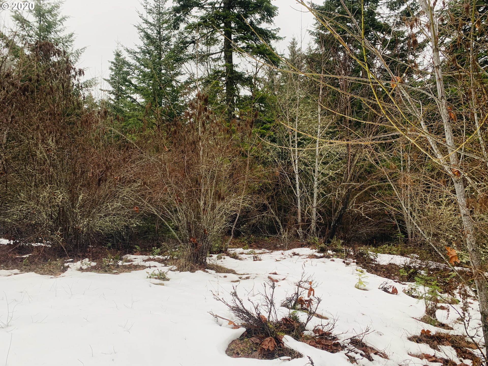 43 Mcvey Road White Salmon, WA 98672 - Photo 1 of 14