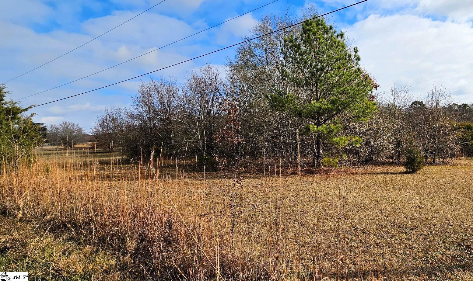 288 Willingham Road Belton, SC 29627 - Photo 3 of 6