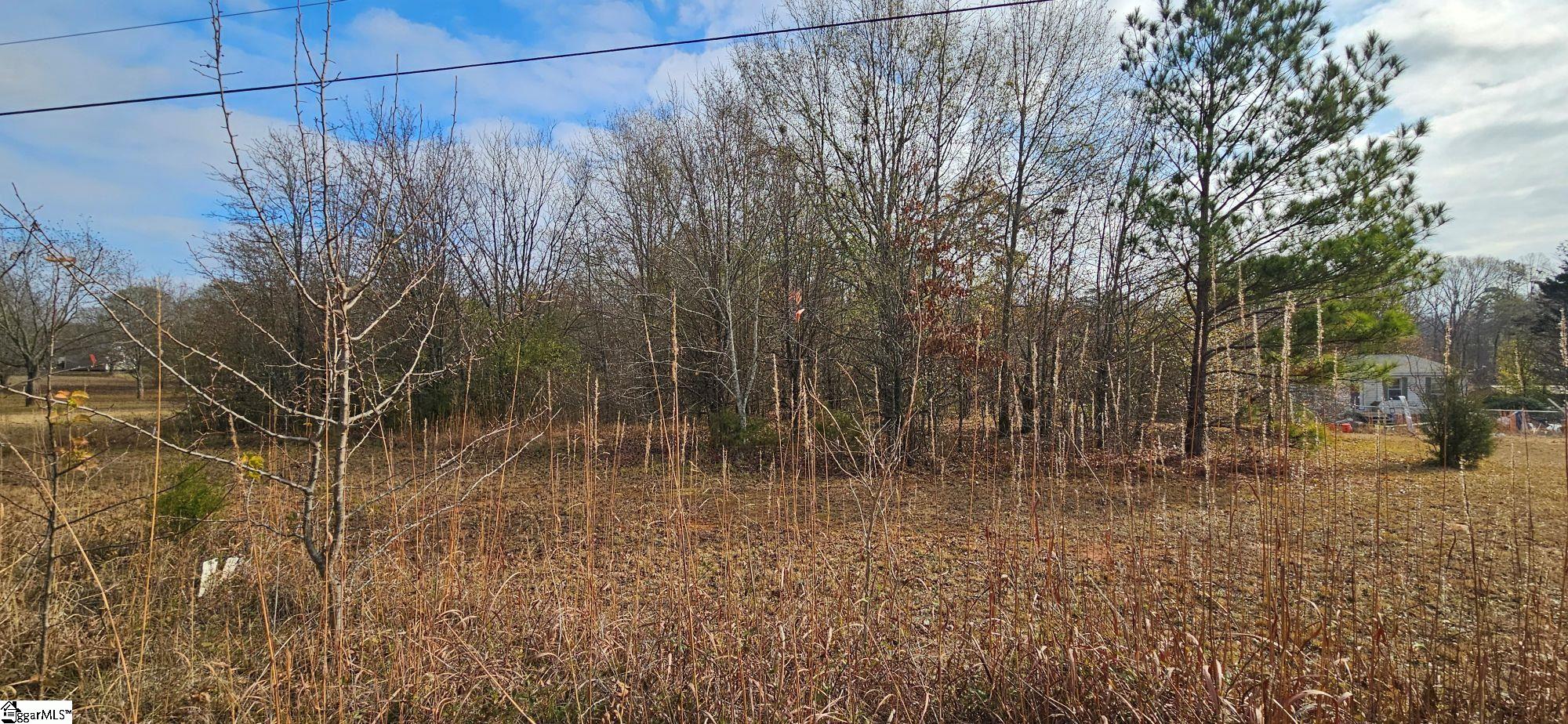 288 Willingham Road Belton, SC 29627 - Photo 5 of 6