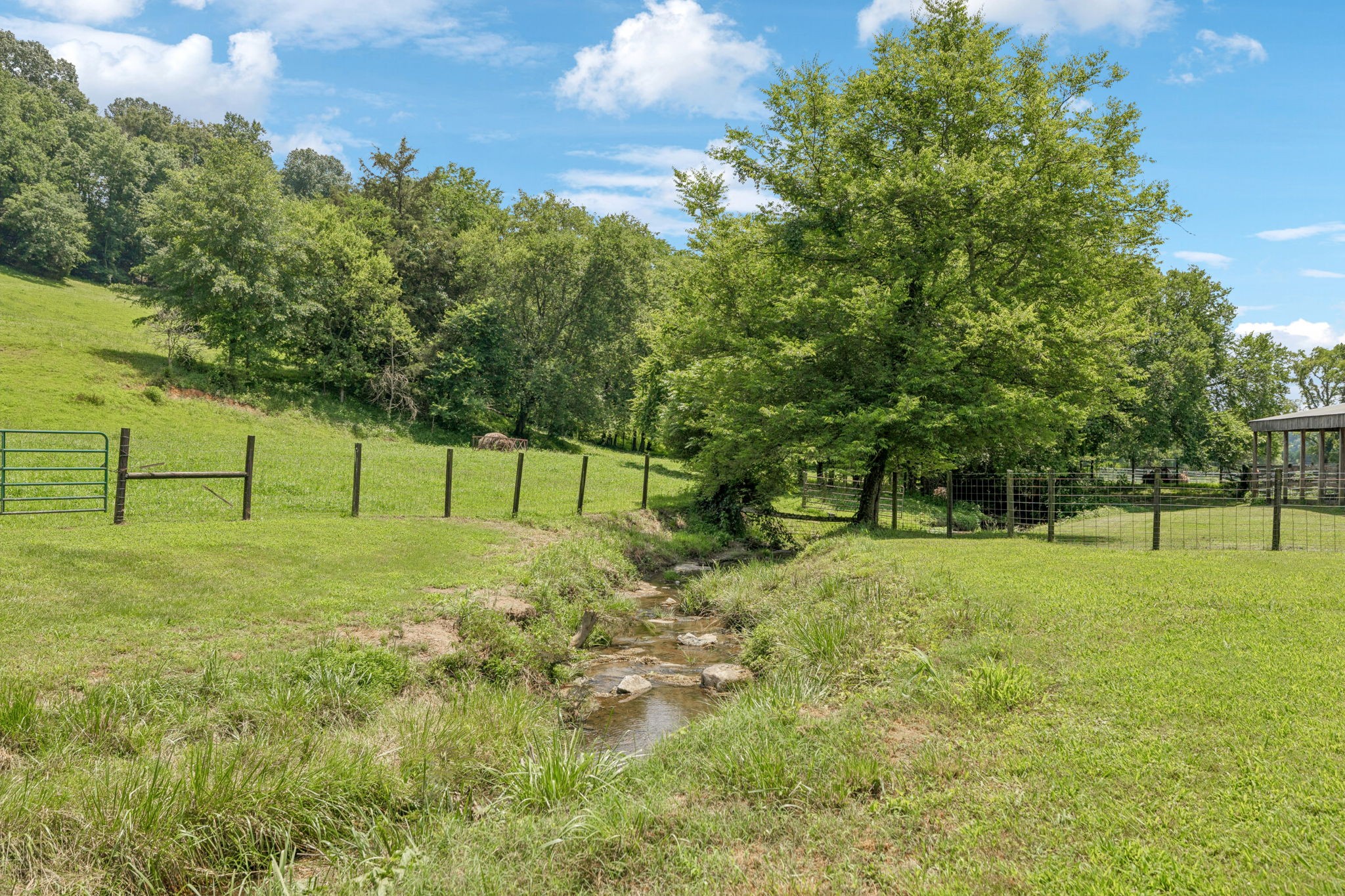 79 Clay Jones Road Taft, TN 38488 - Photo 54 of 74 Gallery Image 54