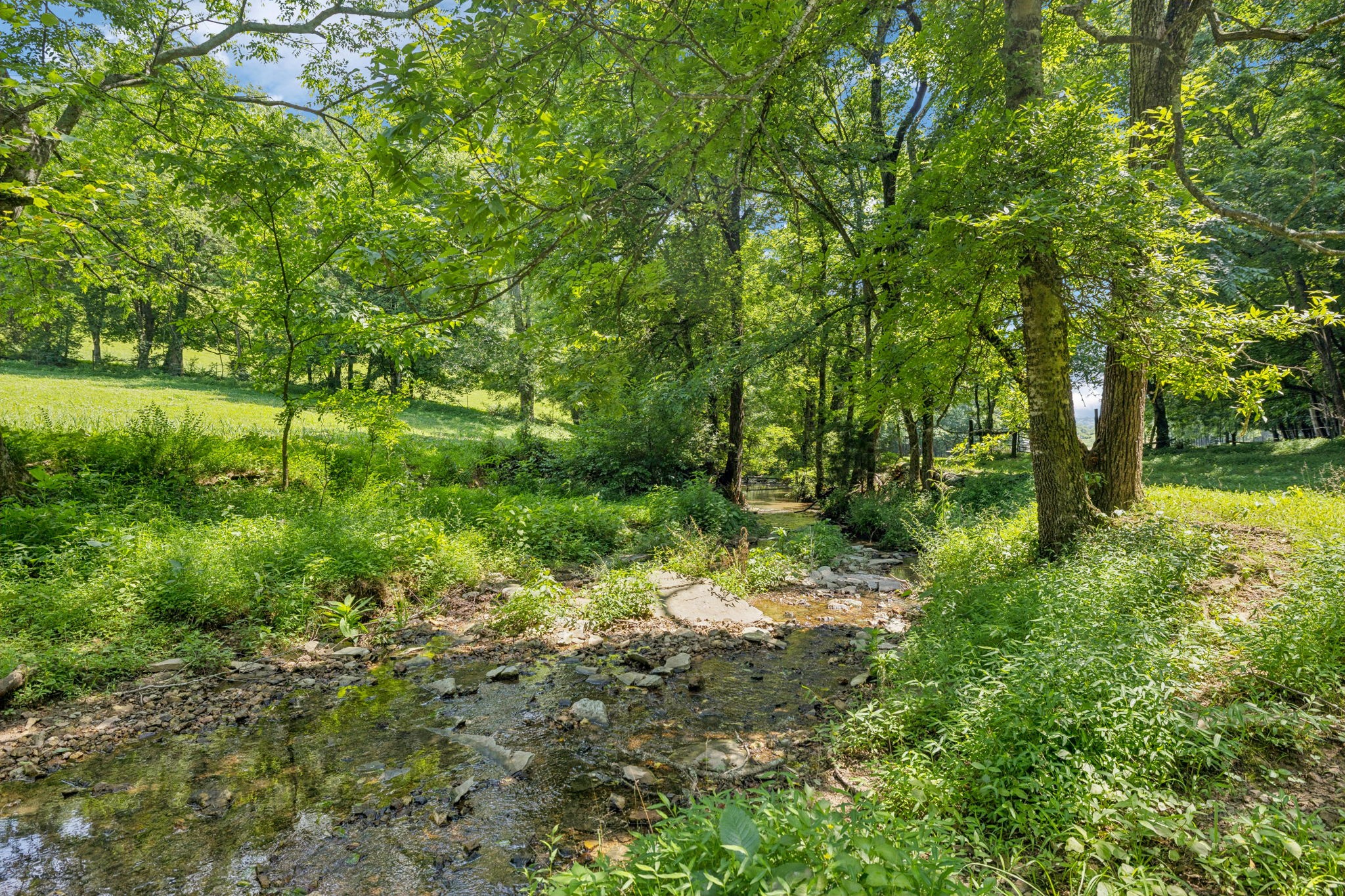 79 Clay Jones Road Taft, TN 38488 - Photo 58 of 74 Gallery Image 58