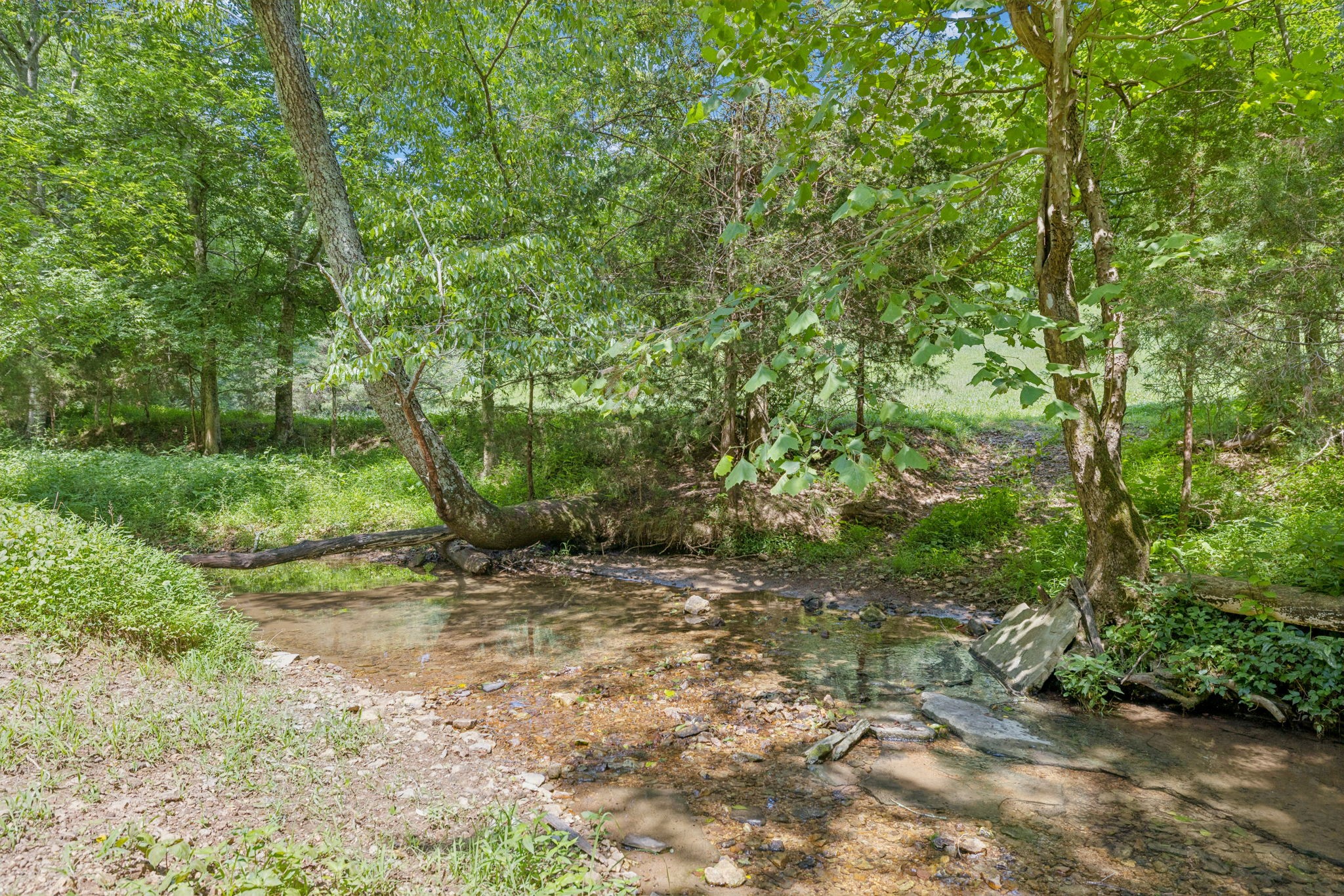 79 Clay Jones Road Taft, TN 38488 - Photo 59 of 74 Gallery Image 59