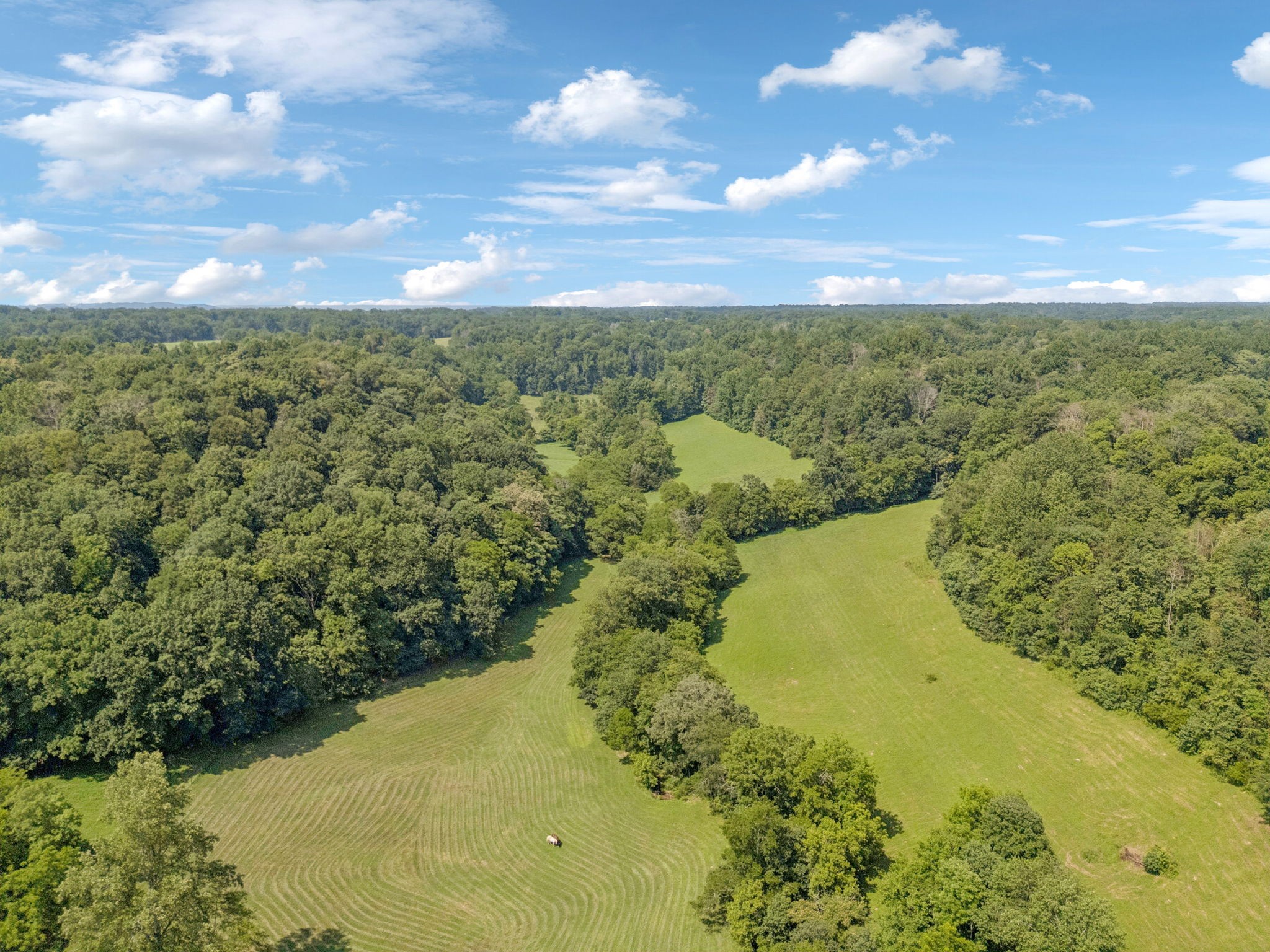 79 Clay Jones Road Taft, TN 38488 - Photo 65 of 74 Gallery Image 65