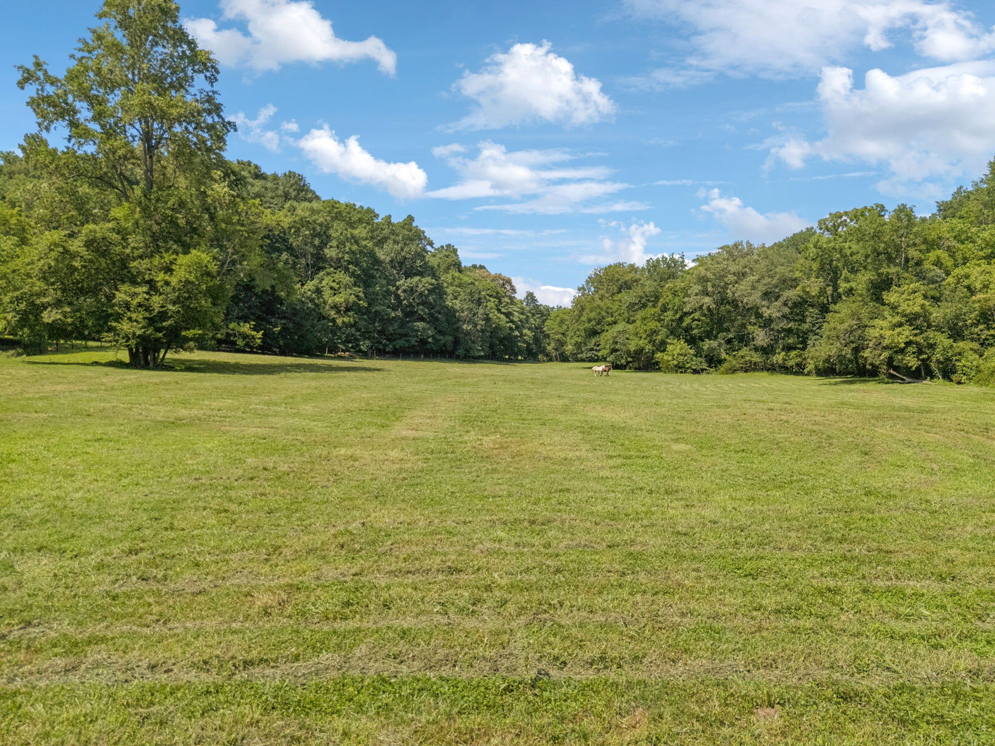 79 Clay Jones Road Taft, TN 38488 - Photo 66 of 74 Gallery Image 66