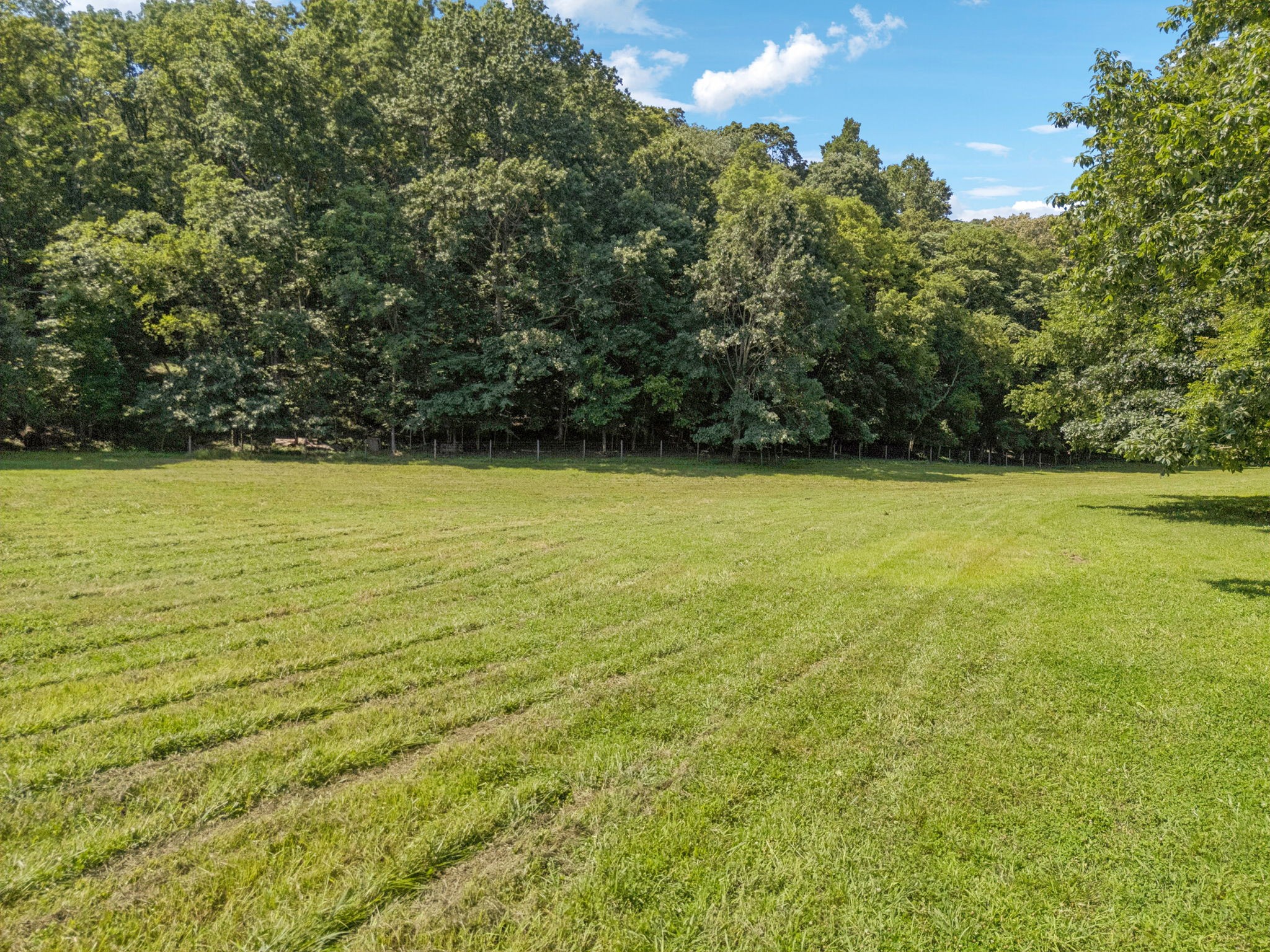 79 Clay Jones Road Taft, TN 38488 - Photo 67 of 74 Gallery Image 67