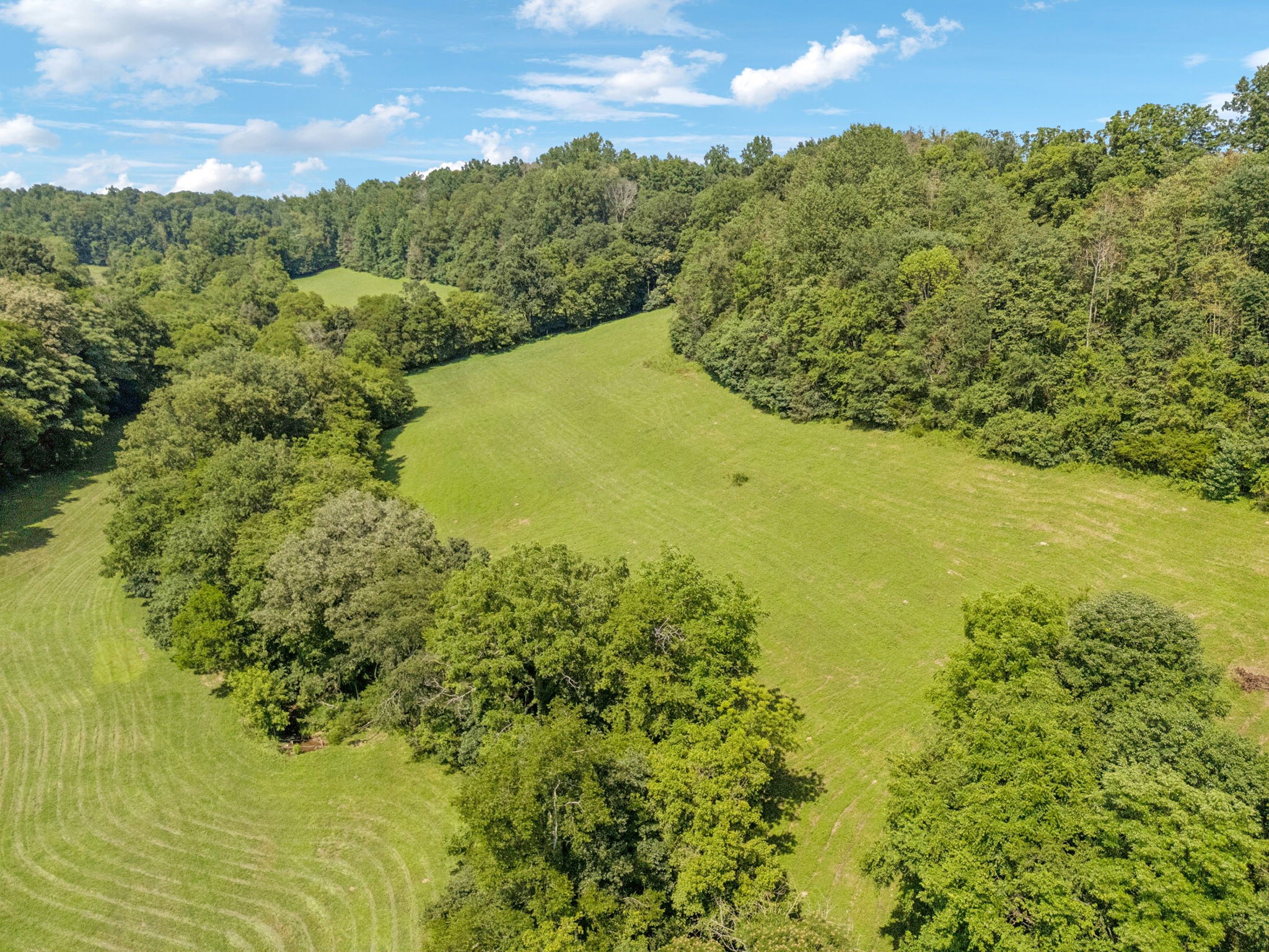 79 Clay Jones Road Taft, TN 38488 - Photo 69 of 74 Gallery Image 69