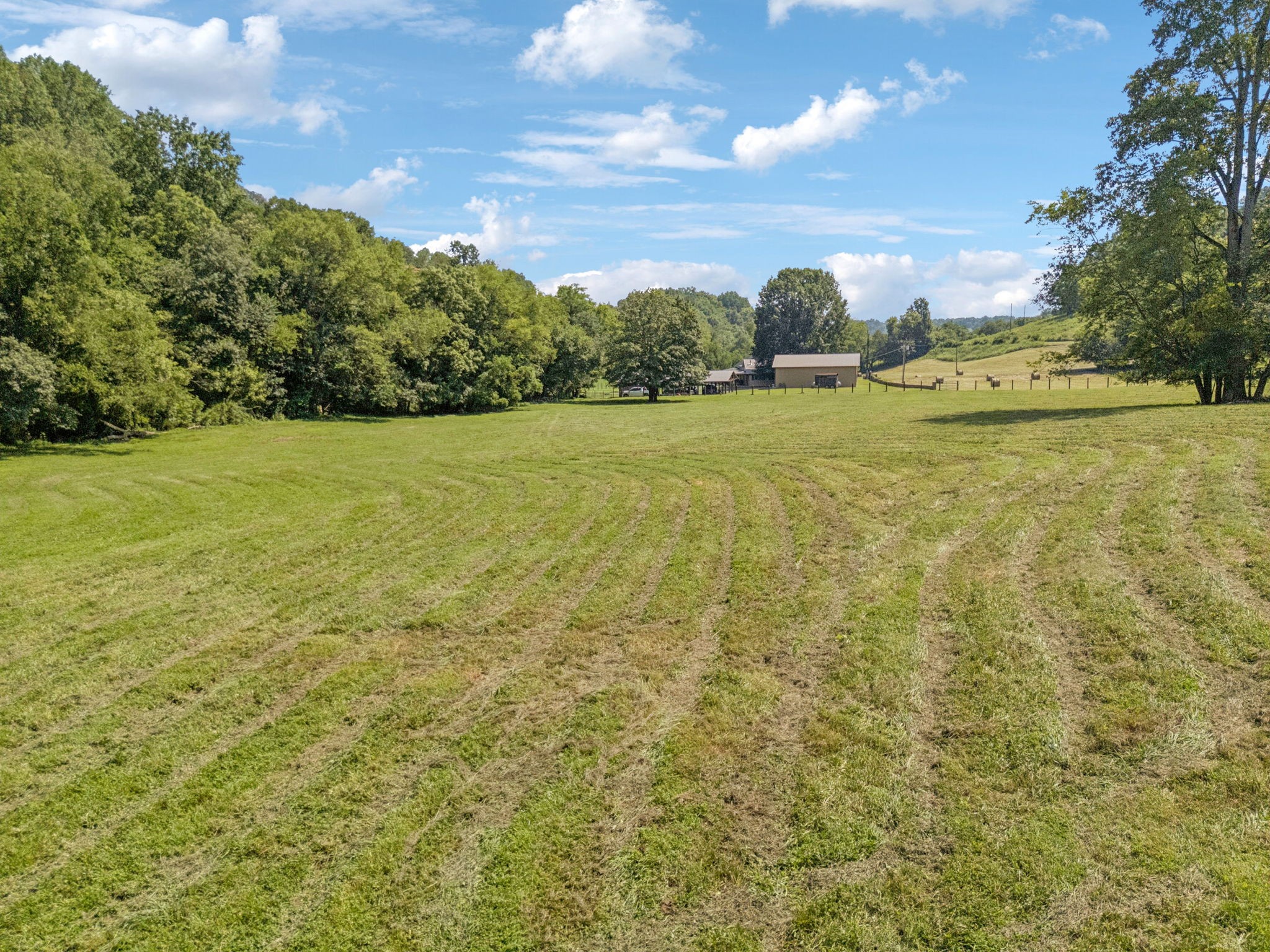 79 Clay Jones Road Taft, TN 38488 - Photo 70 of 74 Gallery Image 70