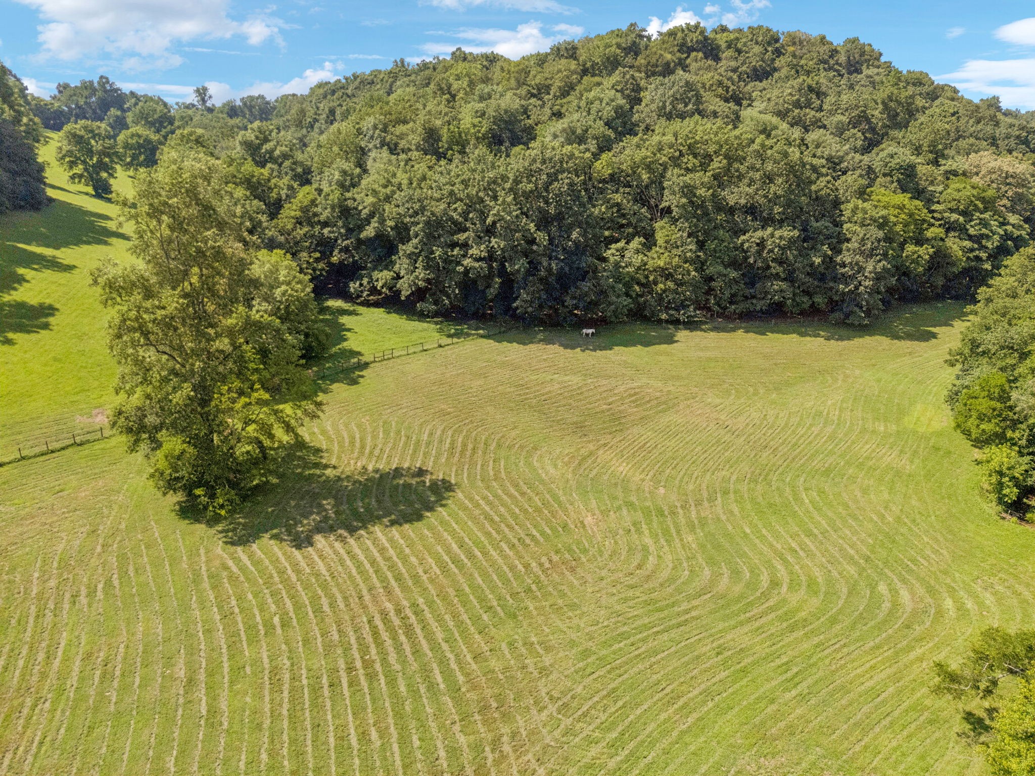 79 Clay Jones Road Taft, TN 38488 - Photo 72 of 74 Gallery Image 72