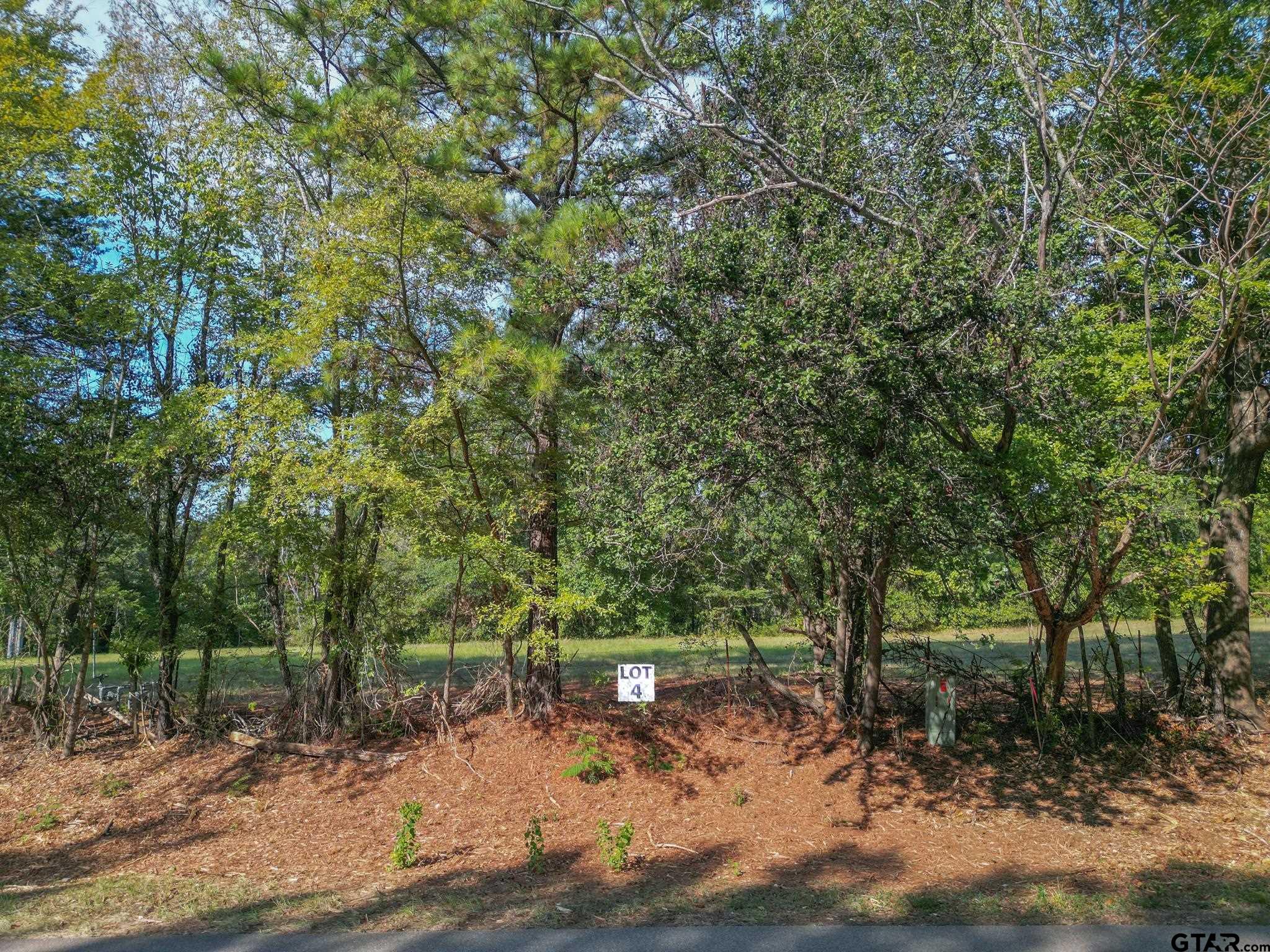 Lot 4 Willingham Road Whitehouse, TX 75791 - Photo 3 of 12 Gallery Image 3