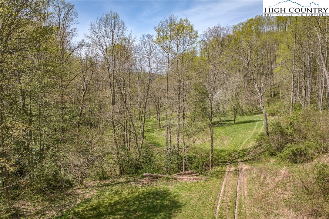 809 Fork Branch Road Vilas, NC 28692 - Photo 11 of 50 Gallery Image 11