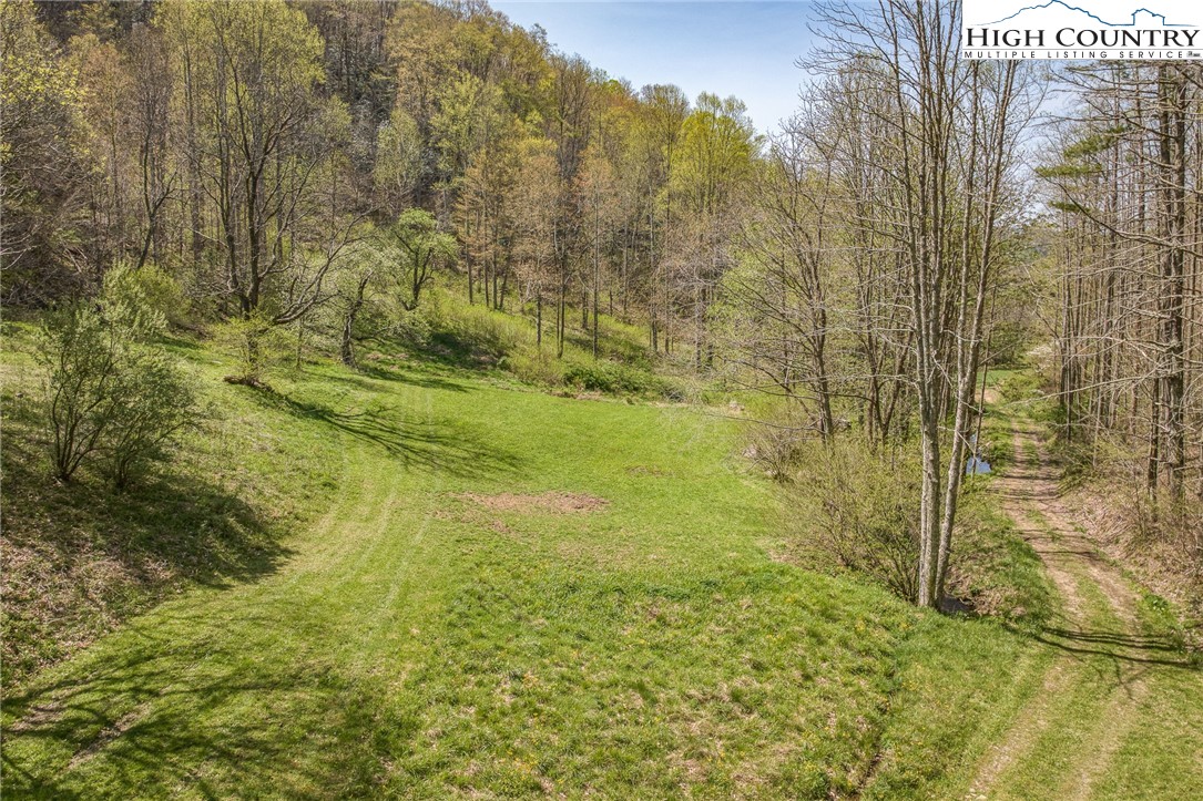 809 Fork Branch Road Vilas, NC 28692 - Photo 12 of 50 Gallery Image 12