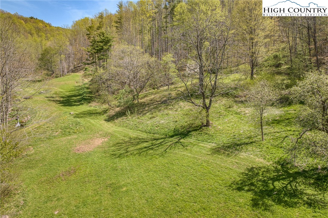 809 Fork Branch Road Vilas, NC 28692 - Photo 13 of 50 Gallery Image 13