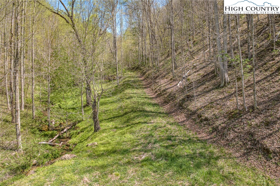 809 Fork Branch Road Vilas, NC 28692 - Photo 16 of 50 Gallery Image 16