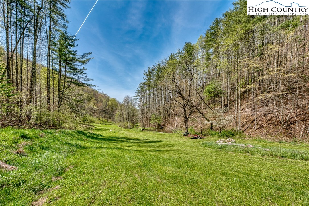 809 Fork Branch Road Vilas, NC 28692 - Photo 19 of 50 Gallery Image 19