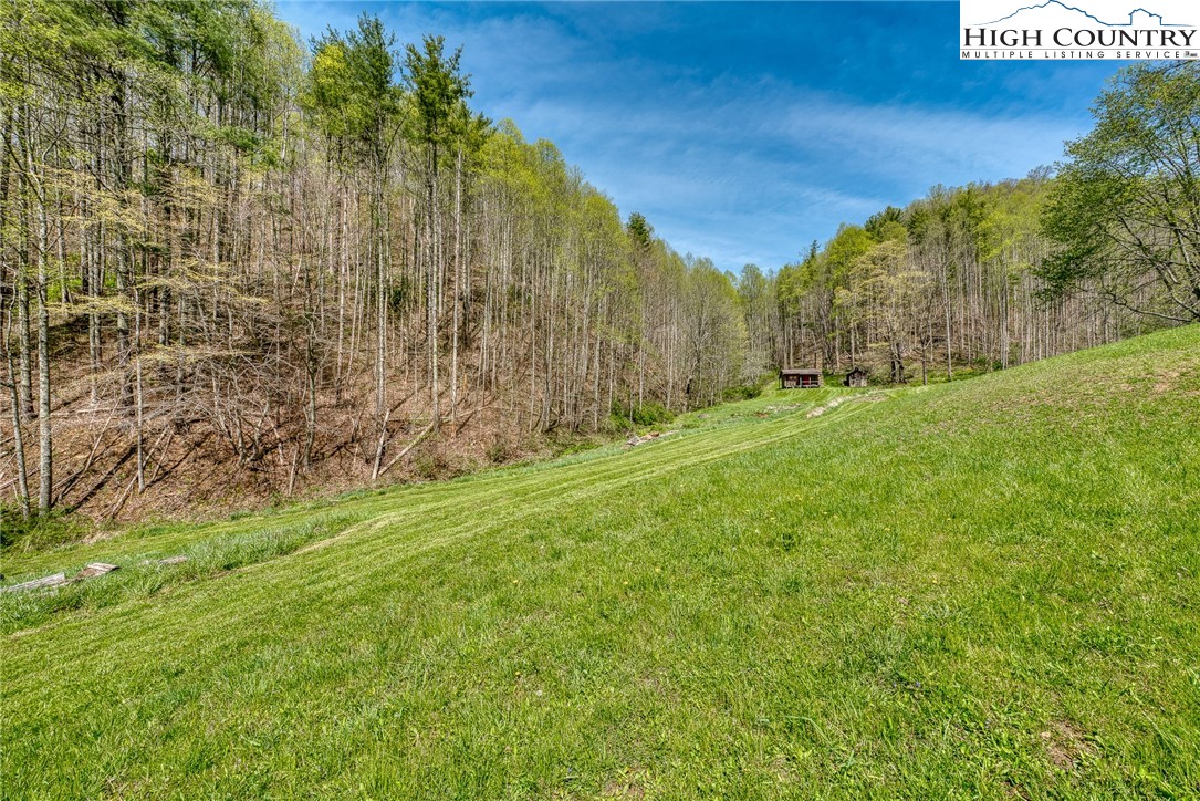 809 Fork Branch Road Vilas, NC 28692 - Photo 20 of 50 Gallery Image 20