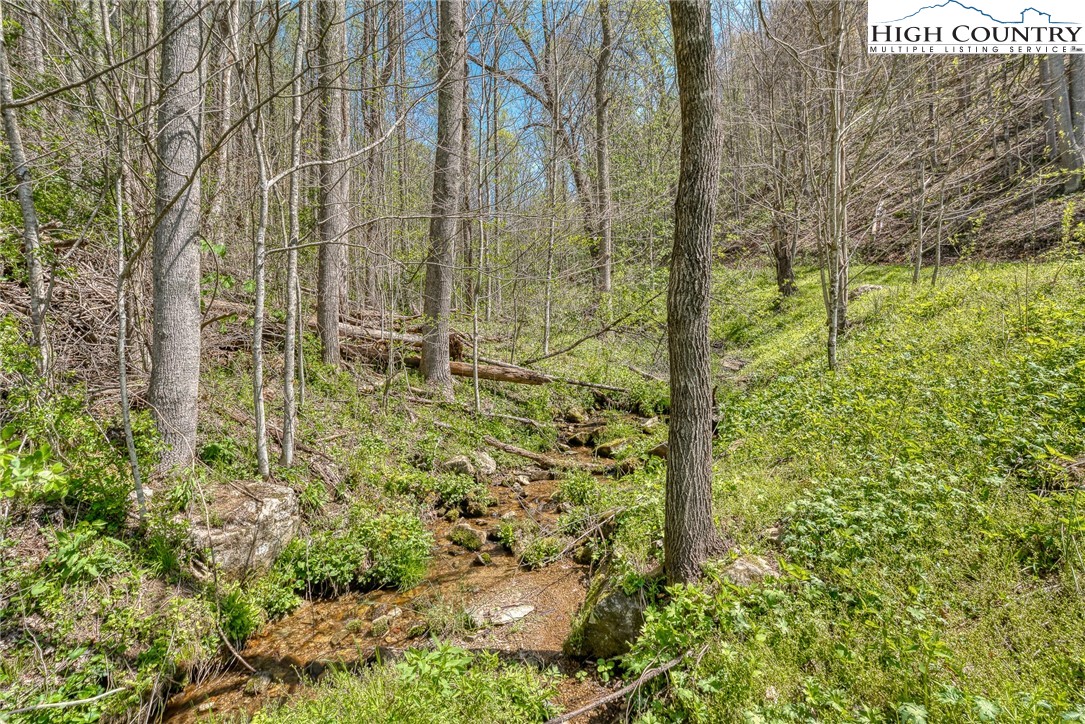 809 Fork Branch Road Vilas, NC 28692 - Photo 22 of 50 Gallery Image 22
